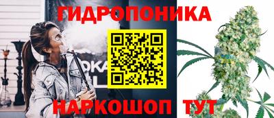 стафф Заволжье