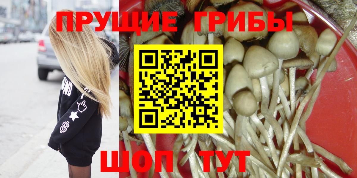 Ялуторовск  Галлюциногенные грибы прущие грибы  Вход с VPN 